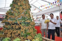 Local firms and farmers must meet tracebility requirements in foreign markets