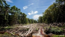 protecting nature the best way to keep planet cool report