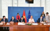 vietnam eu sign flegt vpa to fight illegal logging