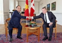 vietnam denmark issue joint statement