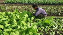 rok mekong nations to prioritize cooperation in 7 fields
