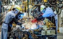 draft law on investment adds incentive sectors