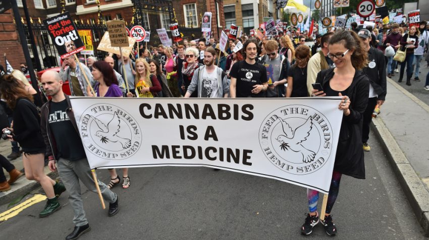 Confessions of a cannabis farmer: The Vietnamese getting UK high