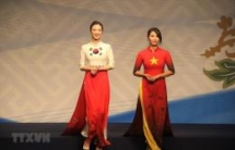 hue offers free entrance to relic sites for all women wearing ao dai