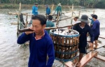 us remains vietnams largest aquatic export market