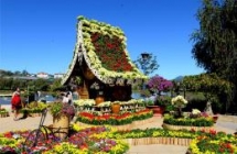the flower village you should visit in vietnams mekong delta