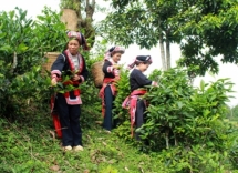 ha giang province increases party leadership over preferential credit policies
