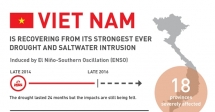 mekong delta takes measures to reduce saltwater intrusion