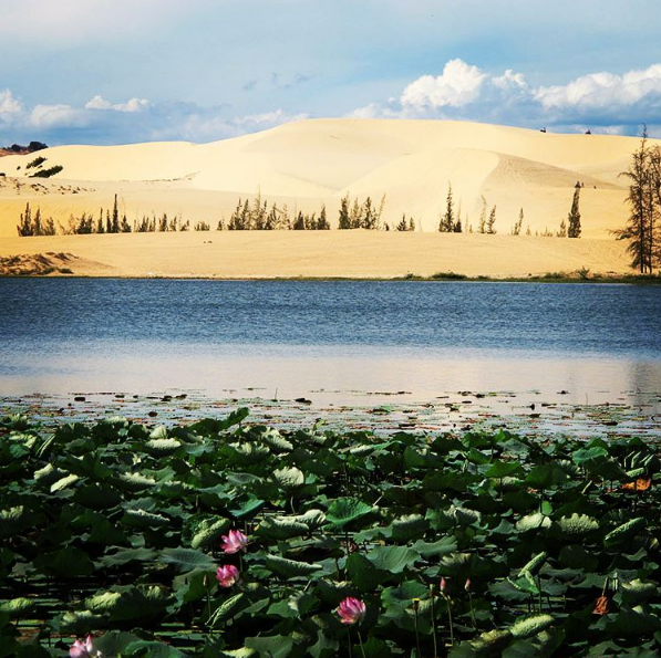 Road to Vietnam’s largest sand dune