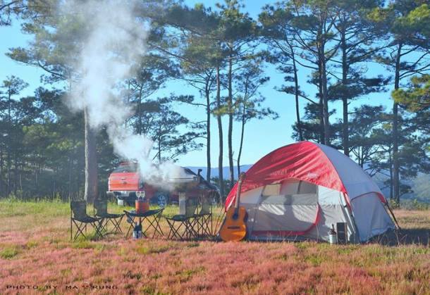 Romantic Da Lat with pink grass hills