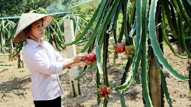 Increasing resources to support sustainable poverty reduction