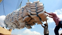 the strong growth of vietnamese rice export in 2020