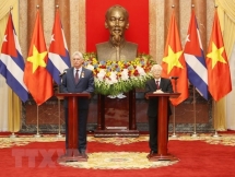 vietnam cuba resolved to work for sustainable cooperation