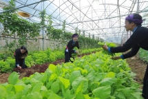 australian project promotes gender equality in agriculture