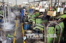 vietnam export today