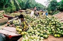 fifth ben tre coconut festival to honour traditional costume of women in the south