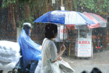 about 300 people die and go missing due to natural disasters each year vnrc