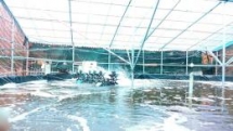 Aus4Innovation programme’s winner kicked-off to address water polution challenges