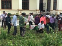 vocational training for people with disabilities and their families in nho quan ninh binh
