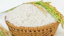 vinh long to host fourth vietnam rice festival next month