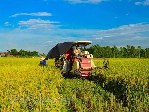 Vinh Long to host fourth Vietnam Rice Festival next month