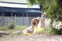 vietnam rok team up in settling postwar consequences