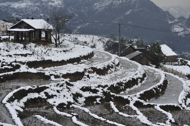Sapa set for Winter Festival 2017