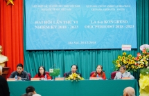 Vietnam Esperanto movement contributes to people-to-people diplomacy activities
