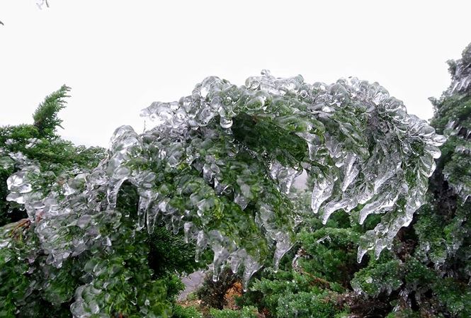 Tourists amazed by snow and ince in Mau Son mountain