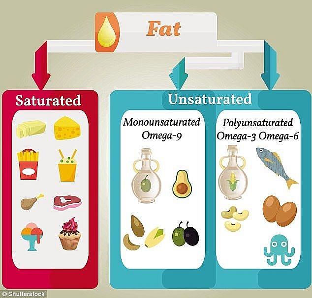 a single meal containing high saturated fat cancause your focus to dwindle study finds