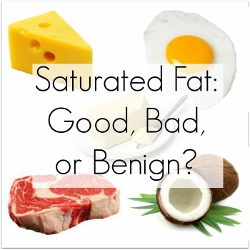 a single meal containing high saturated fat can cause your focus to dwindle study finds