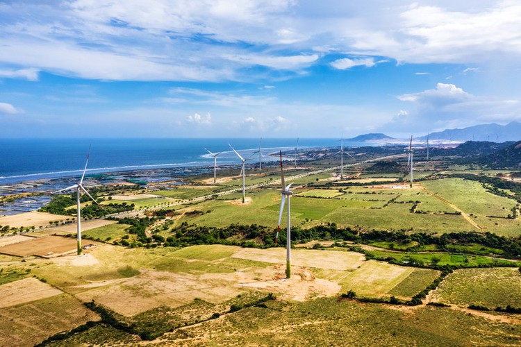 exploring the stunning beauty of ninh thuan province