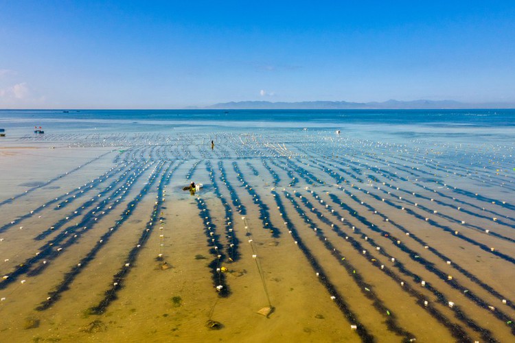 exploring the stunning beauty of ninh thuan province