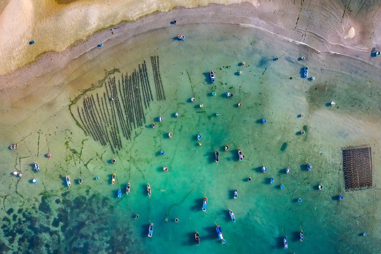 exploring the stunning beauty of ninh thuan province
