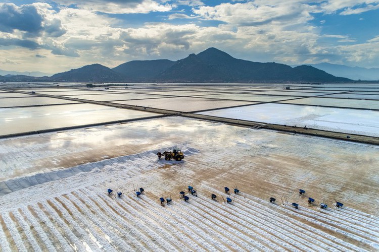exploring the stunning beauty of ninh thuan province